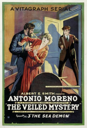 The Veiled Mystery (1920)