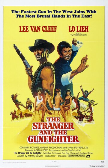 Незнакомец и стрелок (1974)